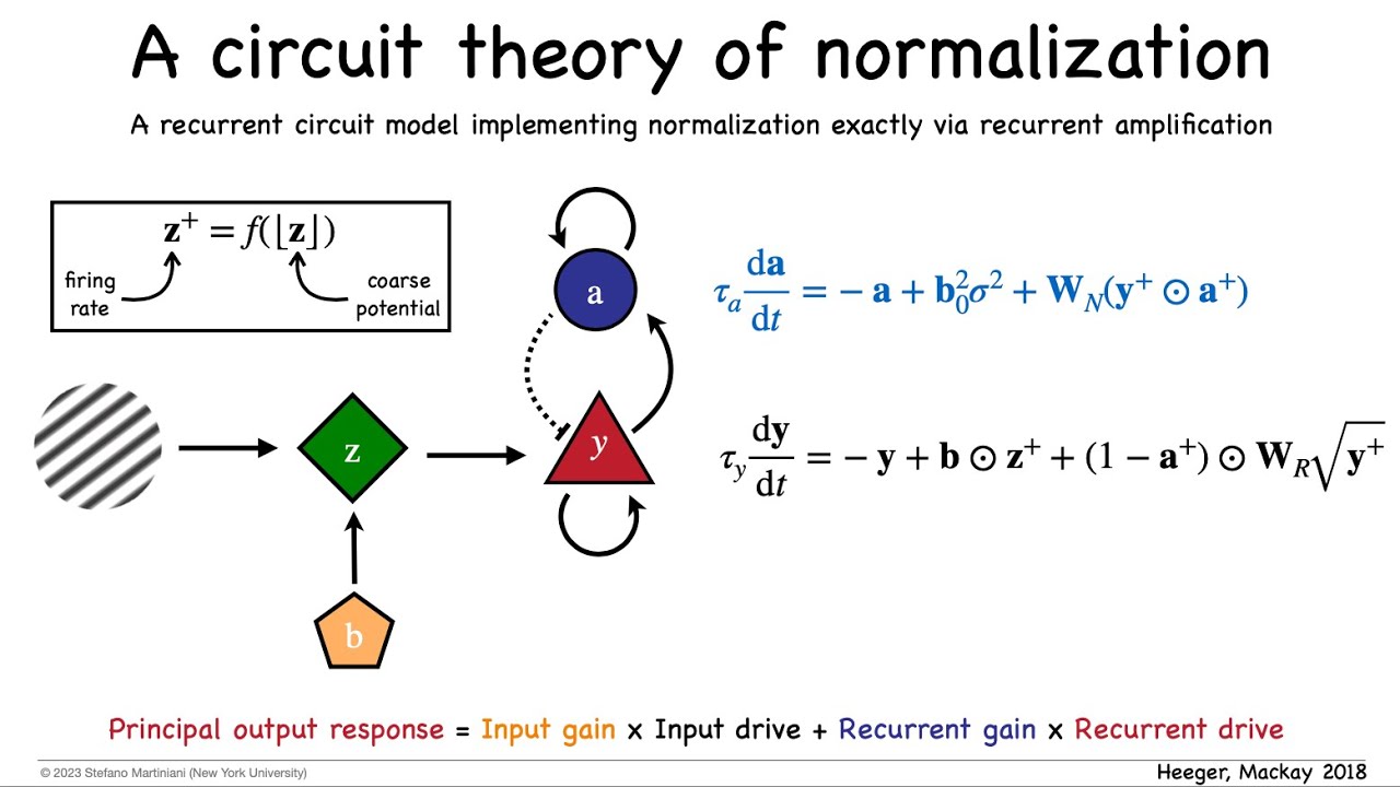 ORGaNICs: A Recurrent Circuit Theory of Normalization
