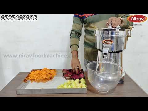 Domestic Multi Fruit Juicer machine