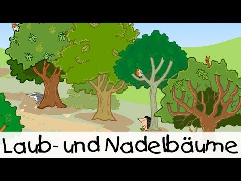 💡 Laub- und Nadelbäume || Kinderlieder zum Lernen