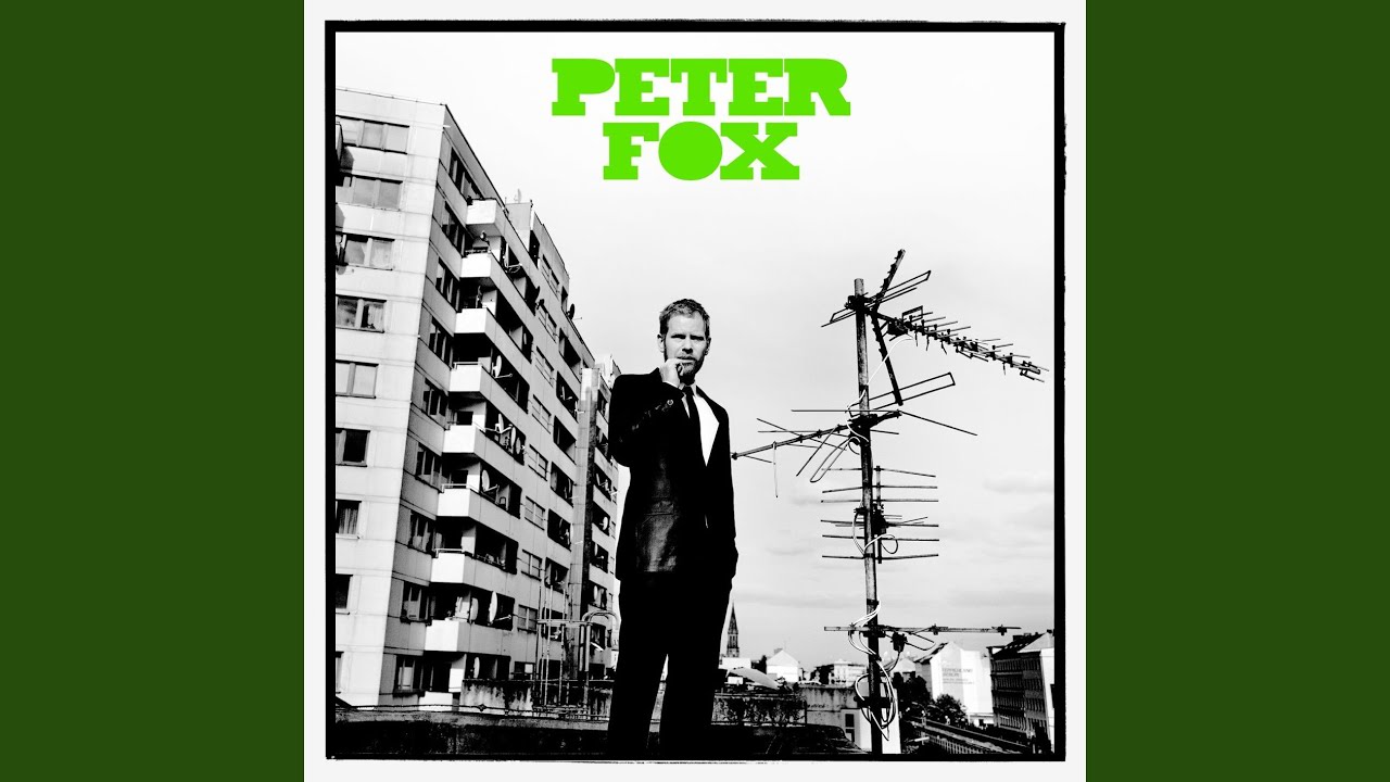 Cover for the song 'Schwarz zu blau' by artist(s) 'Peter Fox'