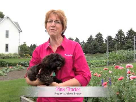 Pink Tractor Presents: The keys to a successful farm family business