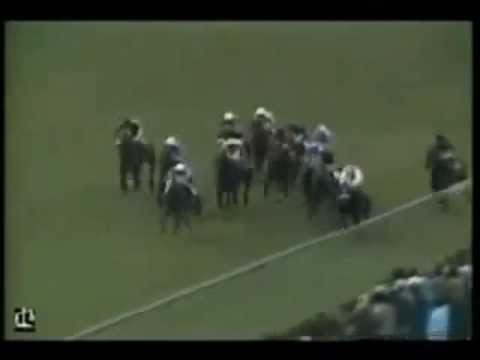 Known Fact- The 1980 2,000 Guineas Stakes (Newmarket)