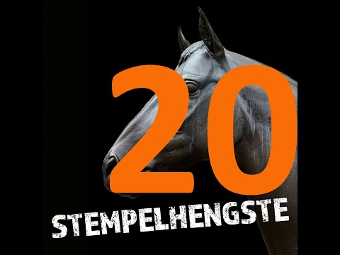 Stempelhengste Podcast - 20 Contender