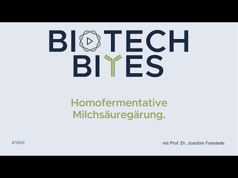 Biotech-Bites - homofermentative Milchsäuregärung