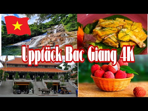 Upptäck Bac Giang – Kulturens Vagga och Naturens Gömda Skatter i Vietnam