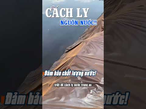 Vì Sao Bạt Lót Hồ LDPE Sapaco được ưa chuộng thi công: Hồ Nổi, Hồ Chứa Nước, Hồ Nuôi Tôm?