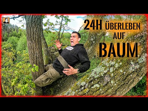 24H SURVIVAL & SLEEPING in a TREE - Is it really that easy? | Survival Mattin