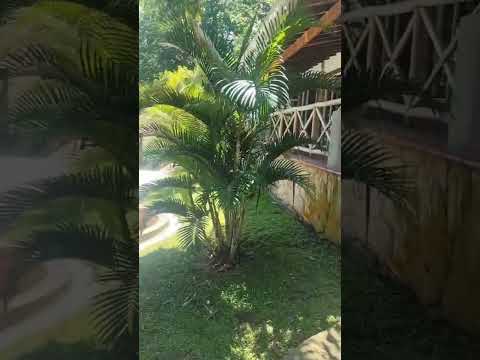 Fincas y Casas Campestres, Alquiler, Bucaramanga - $11.400.000