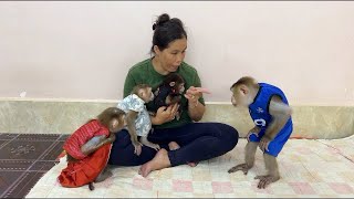 Download lagu OMG!! Mom Finger Pointed To Stop Naughty Brother Sovan Not To Chase 3 Sisters Away From Mom , mp3 Download lagu OMG!! Mom Finger Pointed To Stop Naughty Brother Sovan Not To Chase 3 Sisters Away From Mom , mp3