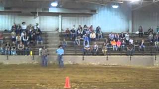 Finer Points of Horsemanship