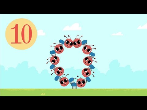 Il castoro costruttore - Impariamo a contare fino a 10