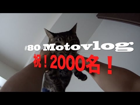 #80 Motovlog Z1000 祝！2000名！