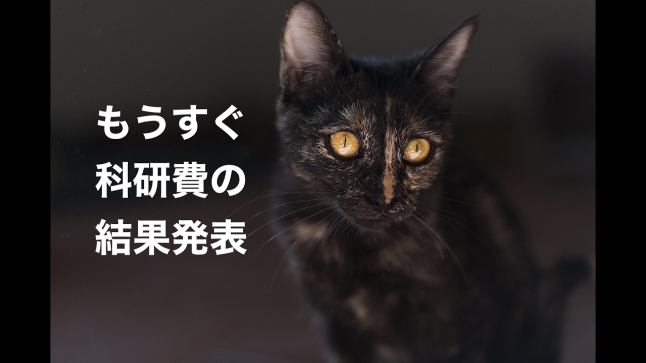 【科研費2026】科研費の結果発表日が確定している