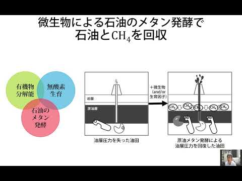 難培養微生物による石油のメタン発酵