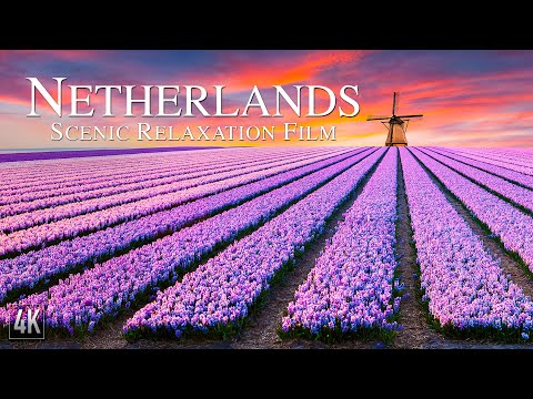 Netherlands 4K Relaxation Film | Aerial Drone 4K Holland & Amsterdam | Dutch Landscape & Chill Music