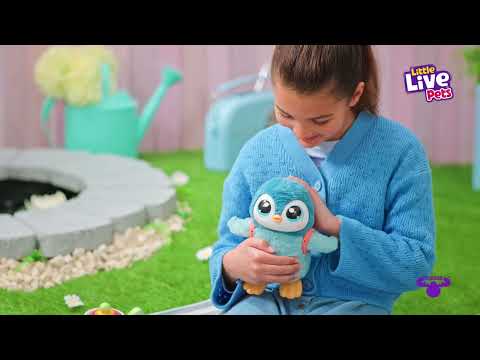 LITTLE LIVE PETS Interaktyvus pingvinas video