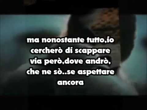 ~❤️~PUPO MEGLIO DI NO~❤️~