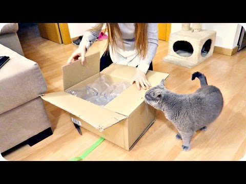 VLOG: ОТКРЫВАЕМ ПУМИНУ ПОСЫЛКУ! 14.01.16