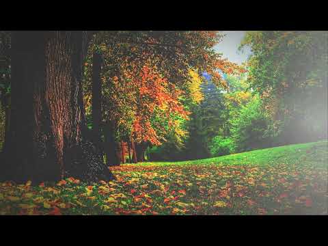 Vasilija Radojčić, Zemi me, zemi