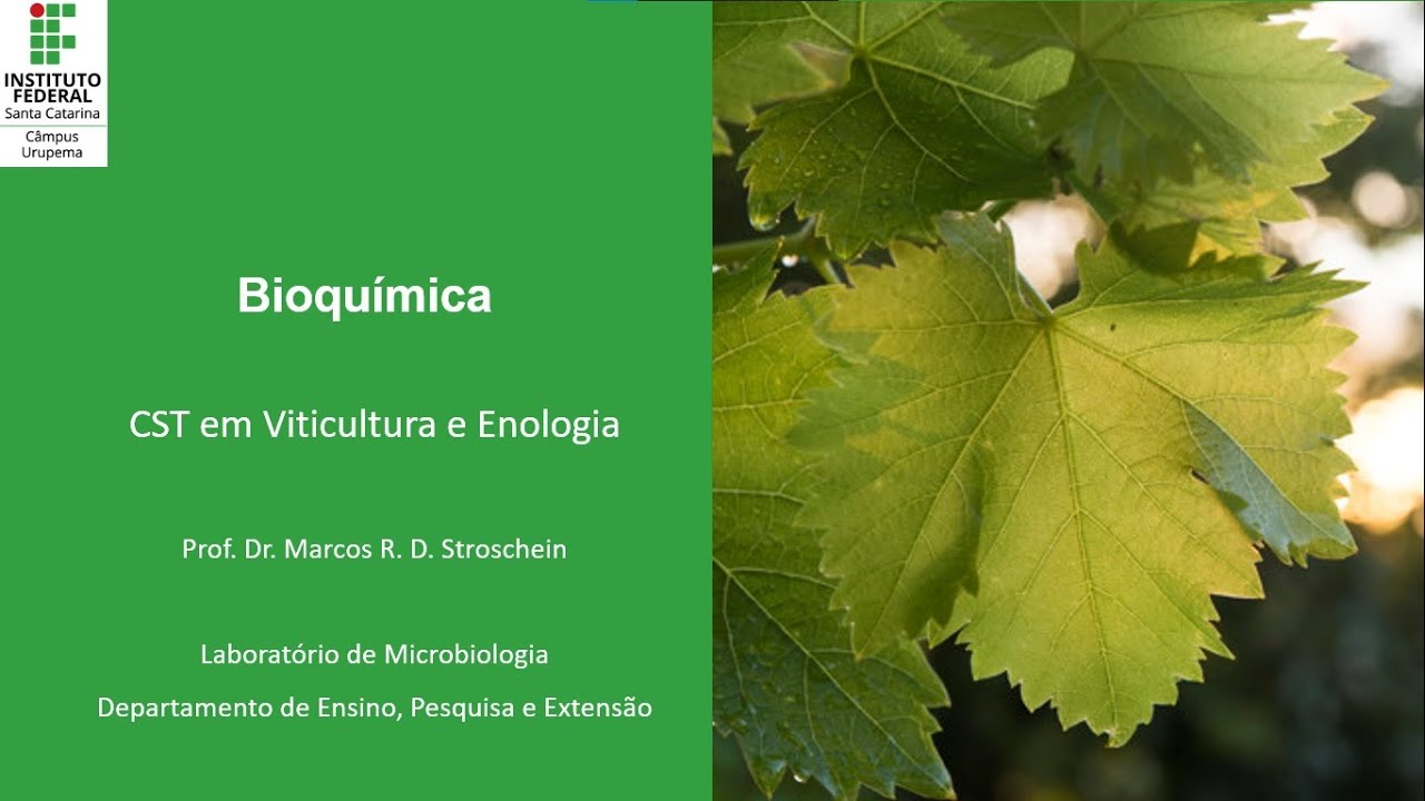 Regulação da Atividade Enzimática