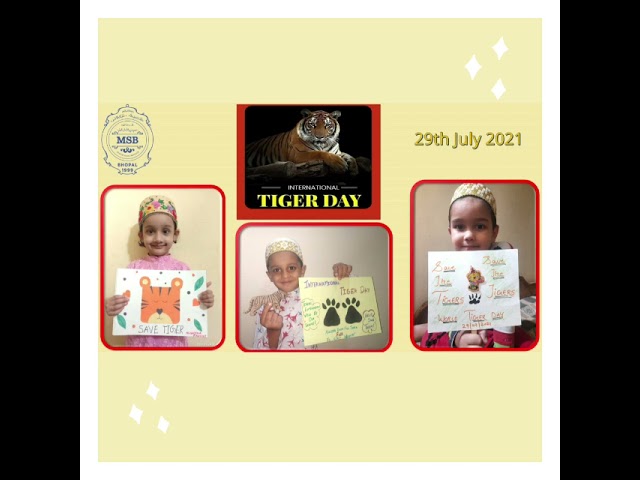 MSB - Dynamic Education-PrePrimary Section