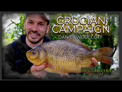 BIG CRUCIAN Campaign | Daniel Woolcott | Drennan Specialist
