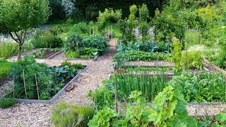 My Vegetable Garden Layout