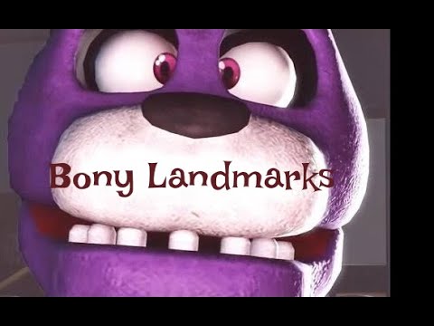 Anatomy- General Anatomy - Bony Landmarks