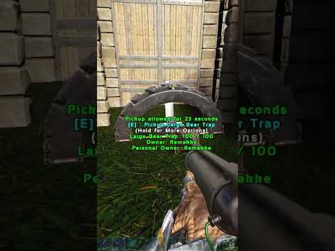 Baryonyx Simple Taming Strategy