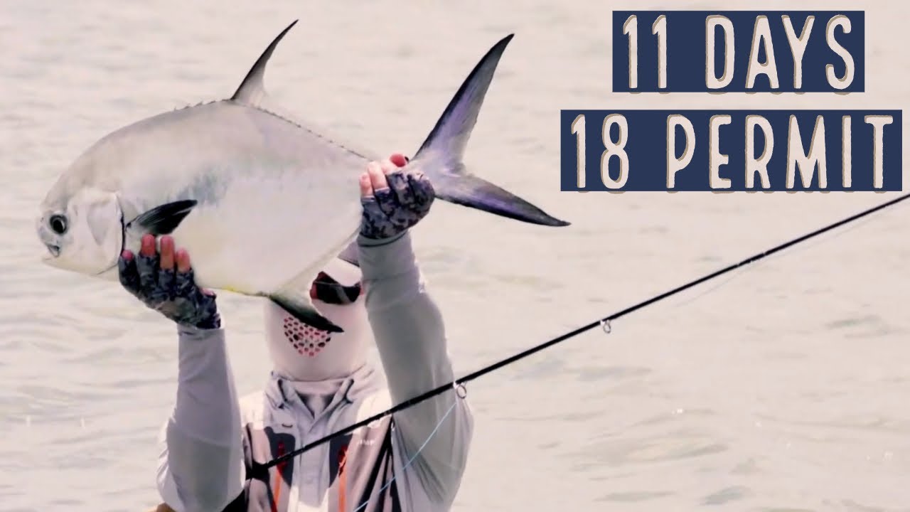 Grand Slam Lodge - Video