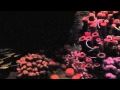 Epcot The Seas With Nemo And Friends HD