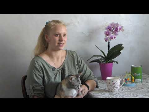 Obrazek poglądowy filmu YouTube