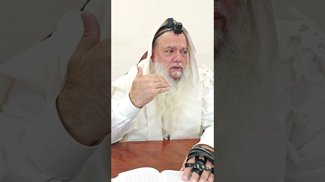 שער הביטחון | סבב שני - פרק 232
