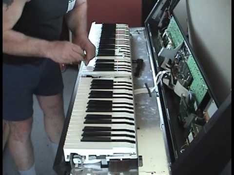 Roland Rd500 Pieces De Rechange Audiokeys
