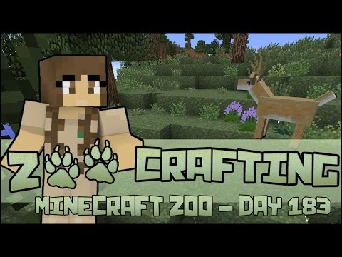 Surprises of Backyard Mountain! 🐘 Zoo Crafting: Season 2 - Episode #183