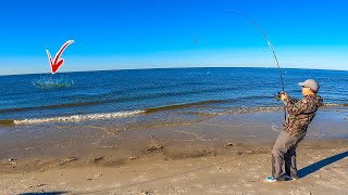 This is Why You Surf Fish With BIG Baits!