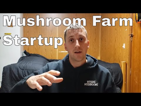 Guide For Starting Your Mushroom Farm
