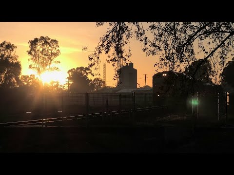 5KG6 - 8113 BL30 Avoca 6th August 2020 just on sunrise