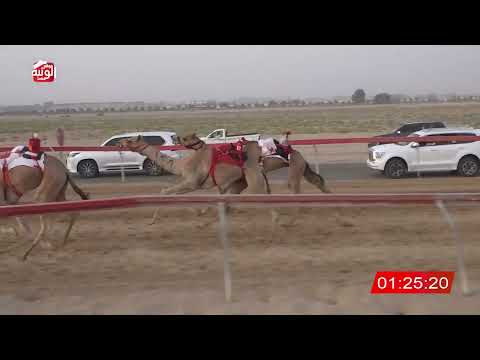  ش 10 (شاهين) لـ محمد عوض بن مبارك المهيري 3:01 ، شارة الصندوق 2026/08/01 فطامين سويحان