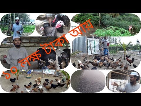 সমন্বিত কৃষি খামার স্থাপন করে তরুণ  কৃষকের ভাগ্যবদলঃ বছরে আয়  প্রায় ১০ লক্ষ টাকা
