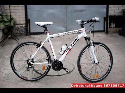 Ferrini Faster 24v 56cm RaudonasDviratis.lt