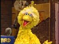 Classic Sesame Street The Birdketeer Song 1985