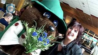 Janneke De Roo - Blauwe Korenbloemen video