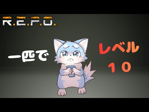 れぽぽぽぽぽぽぽ!🦊✨