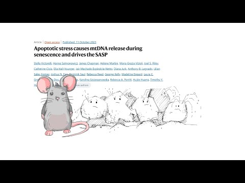 Taurine - Fountain of Life | Aging and Mitochondria