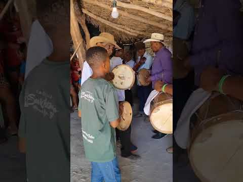Folia de são Sebastião assentamento monte alegre de Goiás 