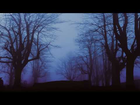 SELECTA V2026.206 (BASS/DUBSTEP/140)