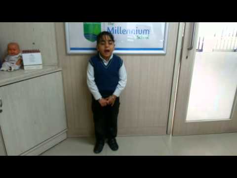 The Millennium School Noida- Mayuka Wali(Ready to Fly- A) Children's Day