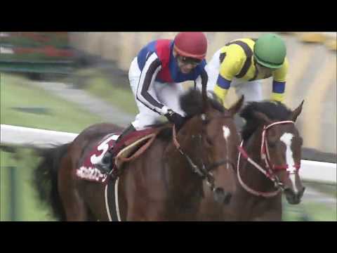 2020 Meguro Kinen (G2)