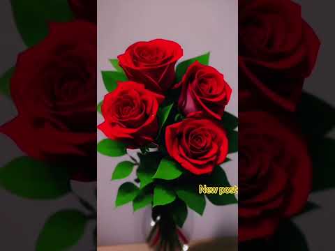 #music #trending #new #trend #shorts #youtuber #views #reels #motivation #me#highlights #photography